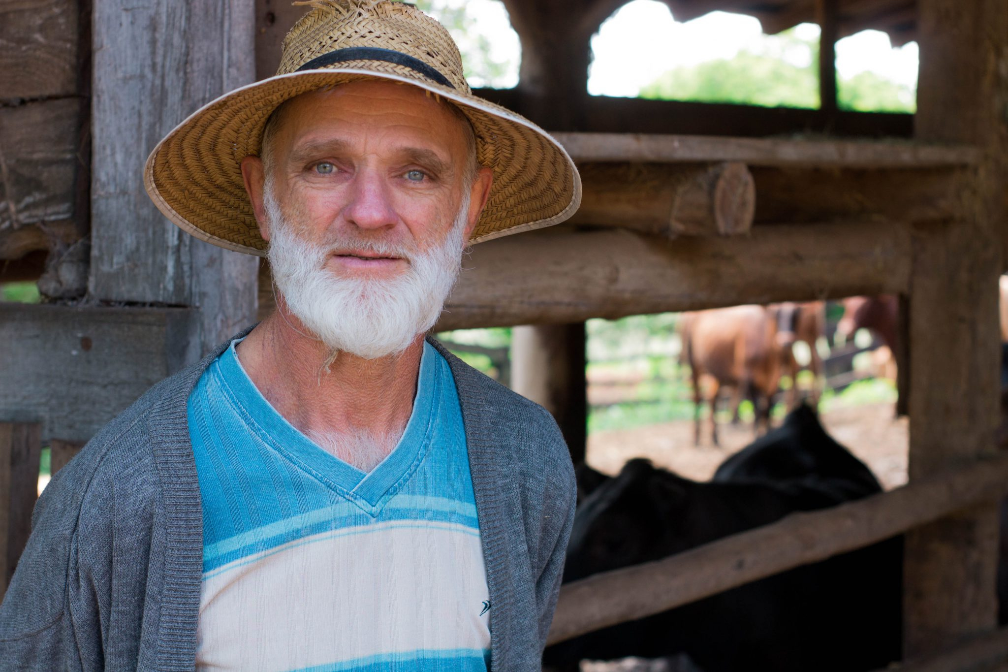 Cláudio Schuh, produtor de gado bovino cooperado Ouro do Sul