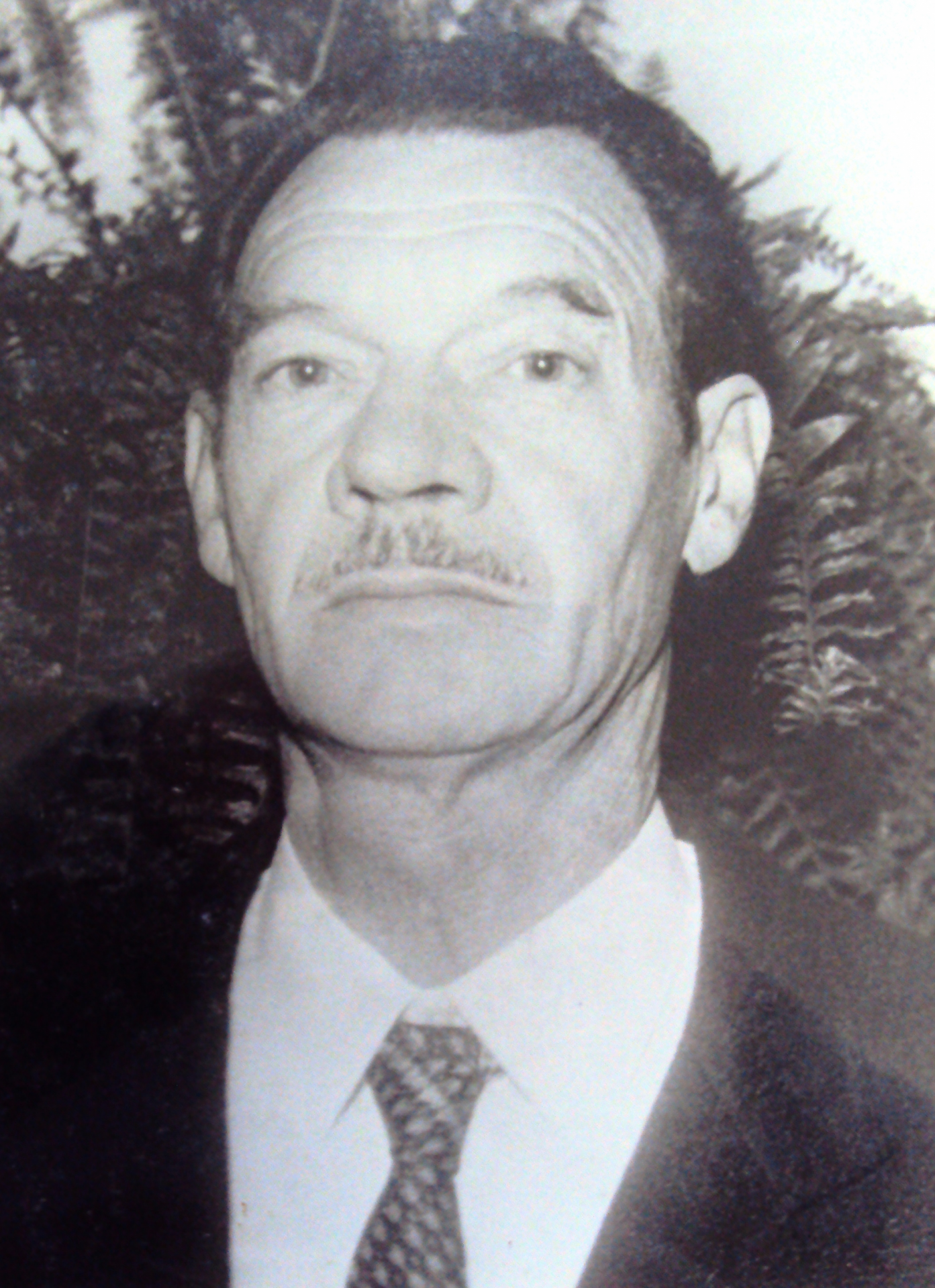 Retrato de Lotário Hoerlle, presidente da Cooperativa Ouro do Sul
