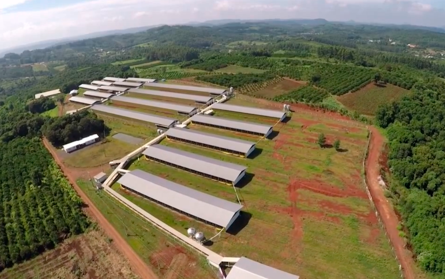 Vista aérea da Unidade Produtora de Leitões da Cooperativa Ouro do Sul