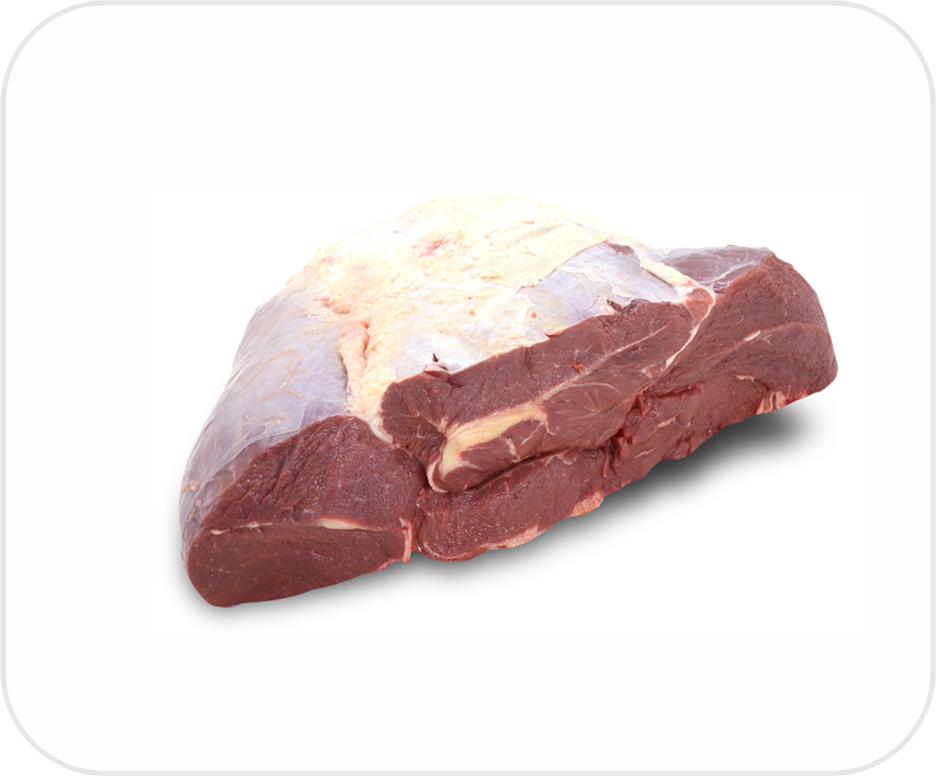 Paleta bovina