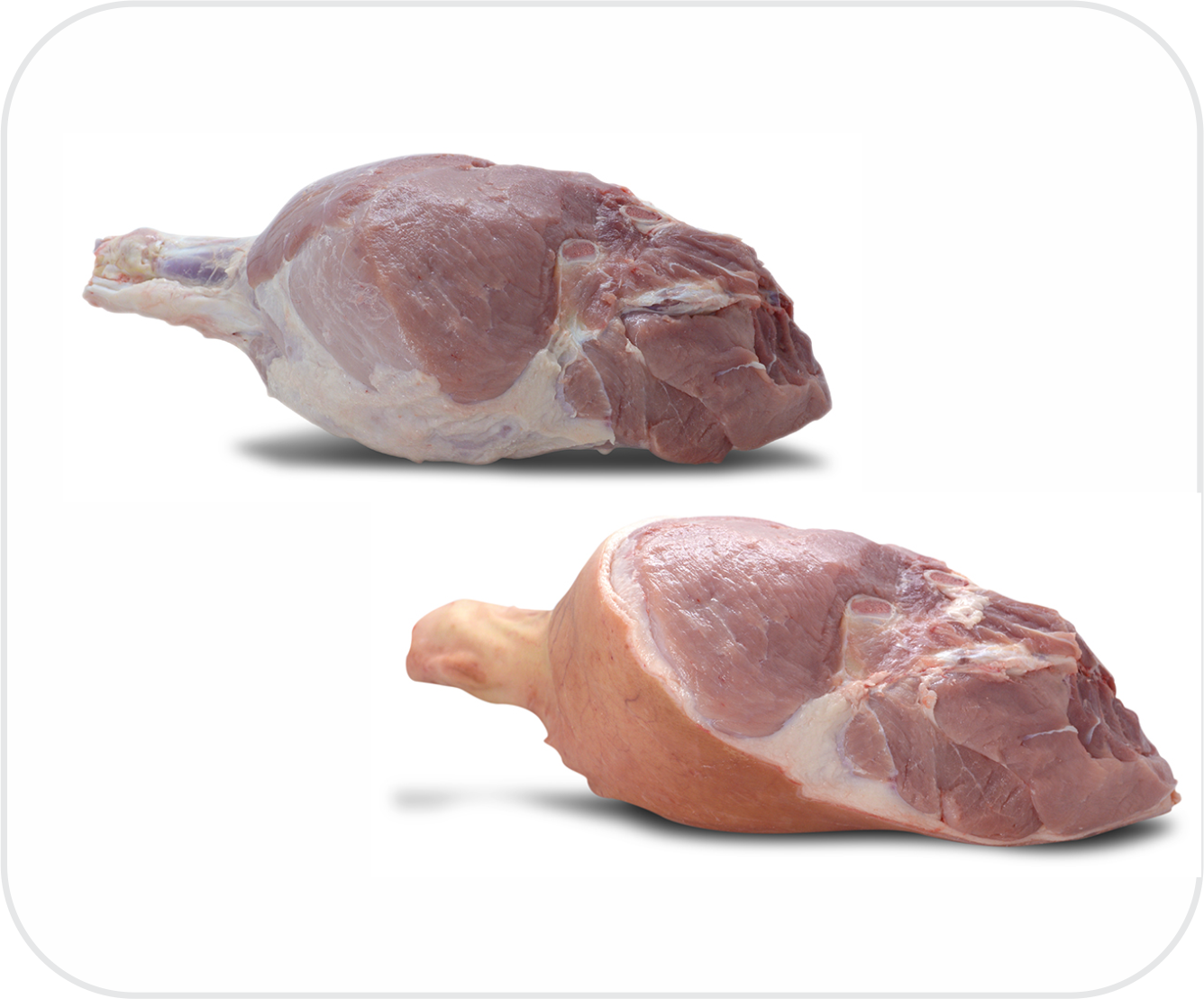 Pernil suíno